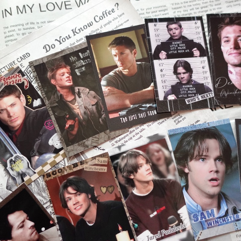 Supernatural SPN Dean & Sam Vi - огляд і ціна Vintage Collectible Cards